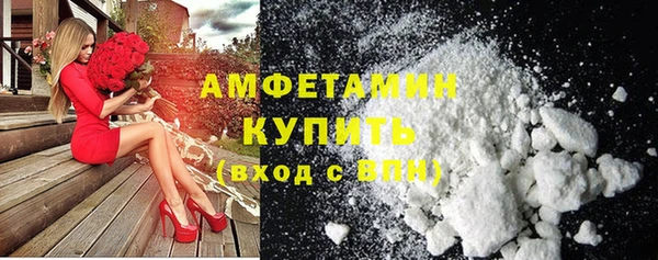 ГАЛЛЮЦИНОГЕННЫЕ ГРИБЫ Богданович