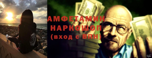 ГАЛЛЮЦИНОГЕННЫЕ ГРИБЫ Богданович
