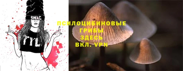 2c-b Богородицк