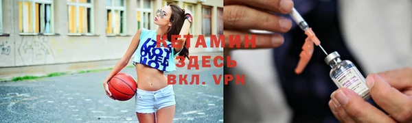 ГАЛЛЮЦИНОГЕННЫЕ ГРИБЫ Богданович