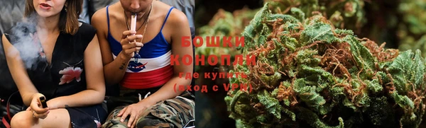 ГАЛЛЮЦИНОГЕННЫЕ ГРИБЫ Богданович