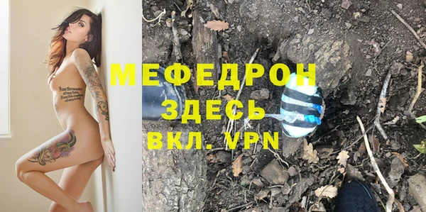 ГАЛЛЮЦИНОГЕННЫЕ ГРИБЫ Богданович