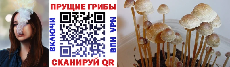 Псилоцибиновые грибы Magic Shrooms  Острогожск 
