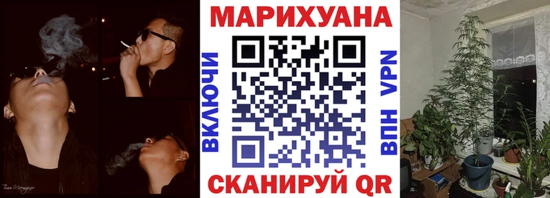 МЕГА зеркало  Острогожск  Канабис сатива 
